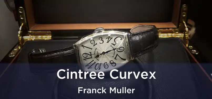  Cintree Curvex Franck Muller